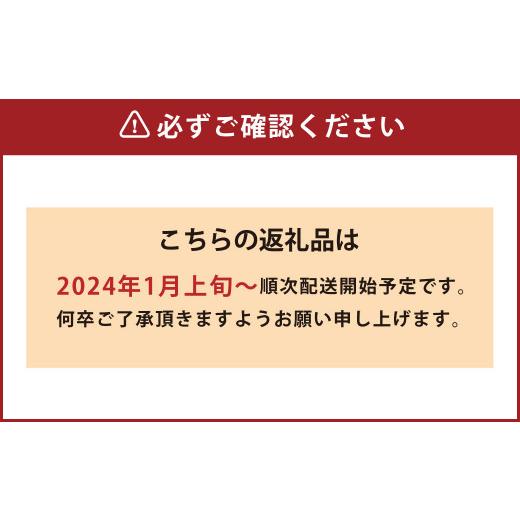 ふるさと納税 福岡県 桂川町 超大玉 あまおう イチゴ グランデ 2パック入り 3玉〜6玉 いちご 苺 約3…