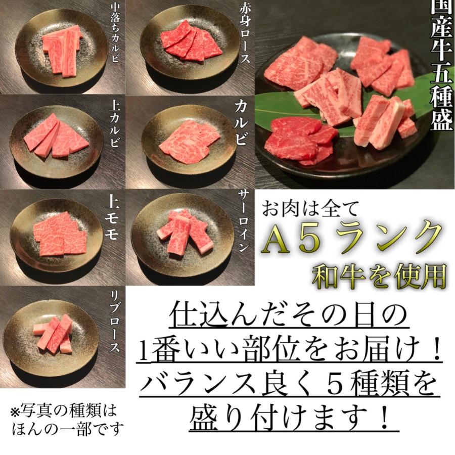 焼肉セット 鹿児島 高級 九州産 黒毛和牛 A5等級 食べ比べ やまさきの焼肉 焼き肉 5種盛り 500g