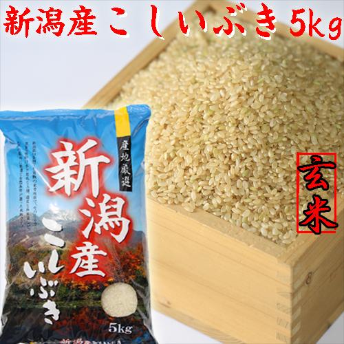 新米 令和5年 新潟産 こしいぶき 玄米 5kg 5kg×1袋 玄米5キロ 新潟産米 農家直送 お米 5キロ 新潟県産 玄米 美味しいお米 産地直送