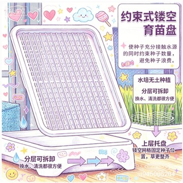 ☀️臺灣現貨隔日達☀️貓草水培盆栽盒 無土水培盒 貓草盆栽 種毛草 貓草盒 貓咪化毛 貓草盒 水培貓草盒 YFDU
