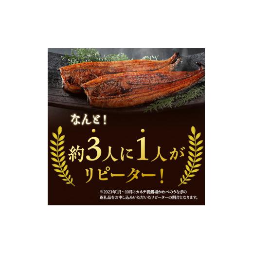 ふるさと納税 静岡県 湖西市 「かわべ」うなぎ蒲焼150g×5匹