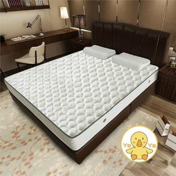 【鴨鴨居家】泰亨二線舒適加厚緹花硬式獨立筒-雙人5尺