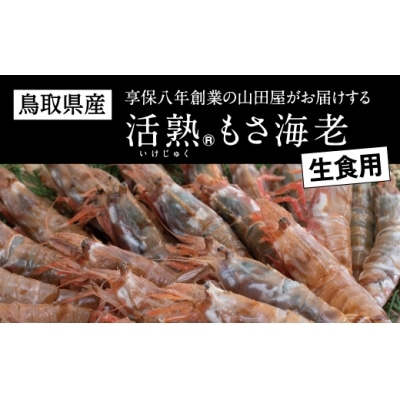 鳥取県産 生食用もさ海老(山田屋)