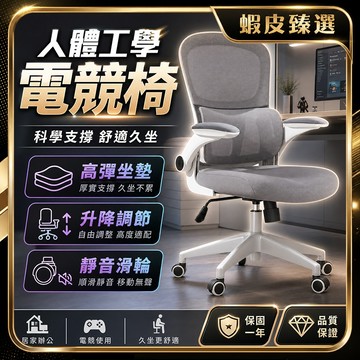 隔日達🏆蝦皮臻選🏆椅子 電腦椅 辦公椅 人體工學椅 升降椅旋轉椅 電競椅 電腦椅子 辦公椅子 會議椅 網椅乳膠椅 電競椅