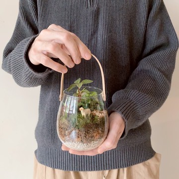 苔蘚微景觀玻璃提罐