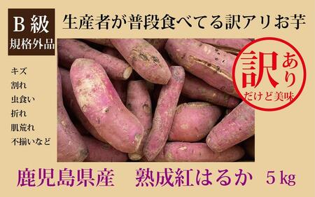 訳あり さつまいも 熟成 紅はるか 5kg 1箱 鹿児島県産 2023年11月上旬以降 年内発送