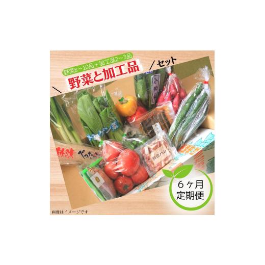 ふるさと納税 茨城県 鉾田市 旬菜館オリジナル＼野菜と加工品／セット