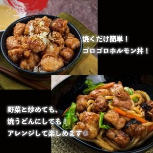 ふるさと納税 山樹の国産牛とろホルモン焼き（味付 タレ）　300g [047R16] 愛知県小牧市