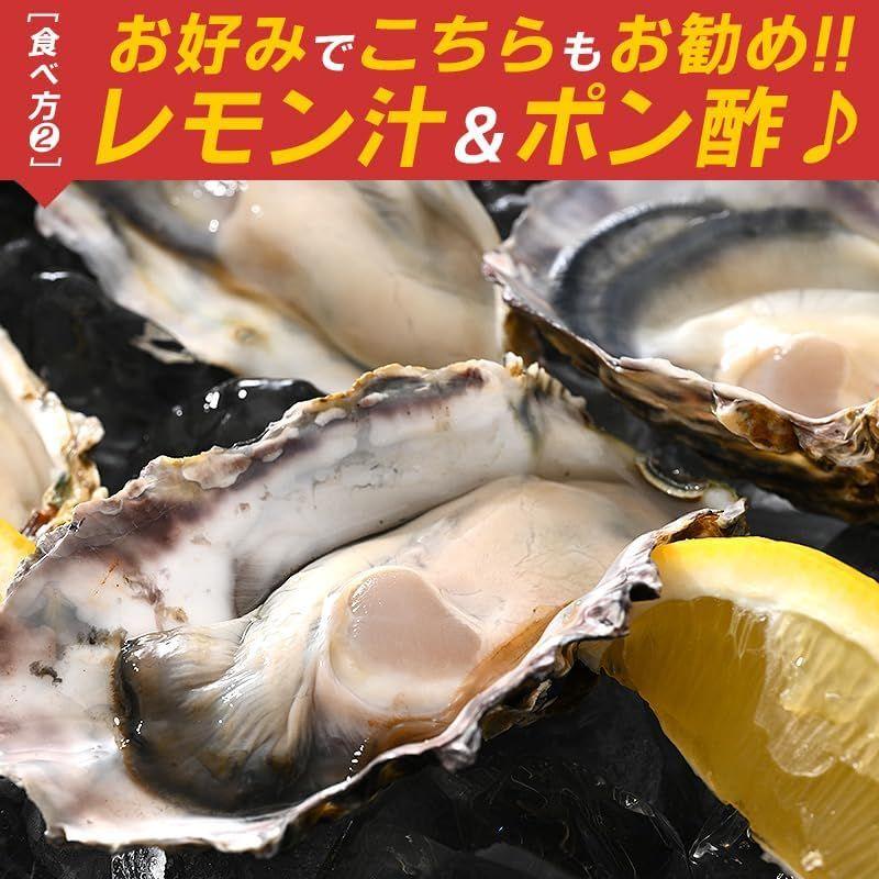 カキ かき 牡蠣 生食用 殻付き 12個 冷凍 兵庫県室津産 冷凍殻付き牡蠣