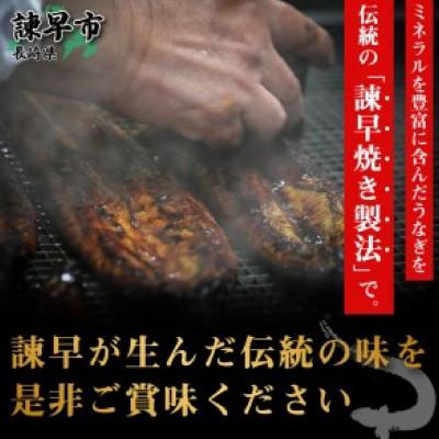 ふるさと納税 諫早市  うなぎ蒲焼2尾白焼き2尾セット