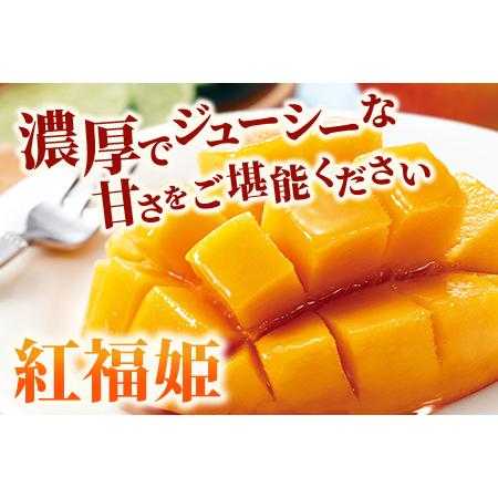 ふるさと納税 「紅福姫ブランド」石垣島のマンゴー 1kg 2?3玉【沖縄県 石垣市 産地直送 旬 石垣島産 マンゴー 完熟マ.. 沖縄県石垣市