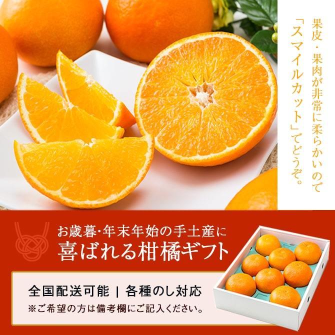 (12月上旬頃より順次発送) 2023 お歳暮 ギフト 愛媛県産 紅まどんな L〜2Lサイズ 約3kg 秀品 化粧箱入り みかん ミカン