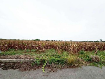 鹽水近台19線平坦超值農保地｜台南市鹽水區舊營段後寮小段