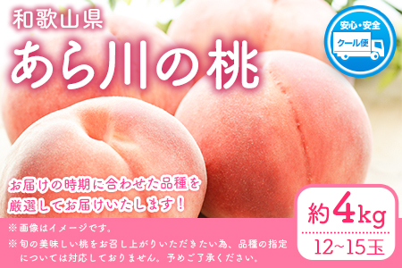 桃 もも あら川の桃 和歌山県産 紀州 の名産 旬の桃厳選 約4kg 12-15玉入り 《2024年6月中旬-8月中旬頃より順次出荷》 果物 フルーツ お取り寄せ 和歌山 予約 あかつき 紀の川 あらかわ 白鳳 日川白鳳 八旗白鳳 清水白桃 川中島白桃 つきあかり