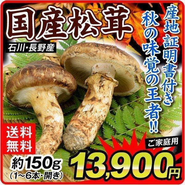 北海道産 松茸 約700g クール便込み-