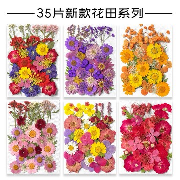 35片新款花田系列 大花包組合 真花壓花 永生花 森林系 少女寫真 壁畫 DIY水晶滴膠 乾燥花 植物標本