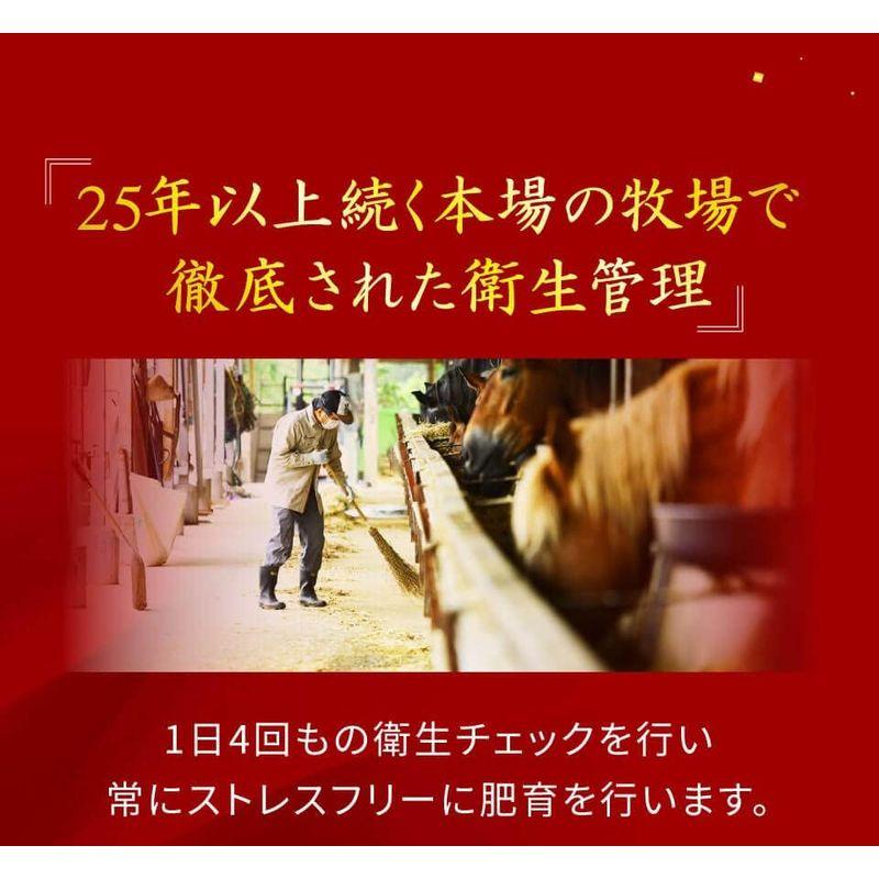 馬刺し 霜降り 熊本県産 中トロ 上赤身 150g 3人前 お試し お試しセット 熊本馬刺しドットコム