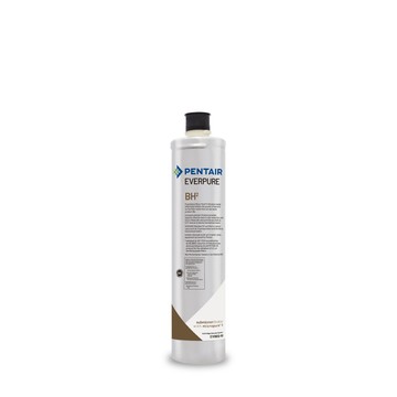 EVERPURE BH2活性碳濾芯(到府更換)