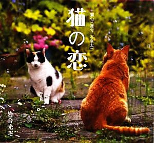  写真集　猫の恋／岩合光昭，石寒太