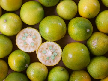 農遊超市 - 苗栗 | 義芳農場-龍眼/文旦柚/白柚/柑橘 (250元採果通用券(適用全台37家以上農場果園))-單人...