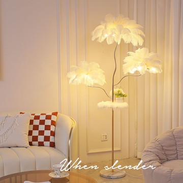開發票 落地燈 立燈 朗上照明 羽毛落地燈溫馨氛圍感裝飾燈客廳沙發旁置物架立式臺燈-快速出貨