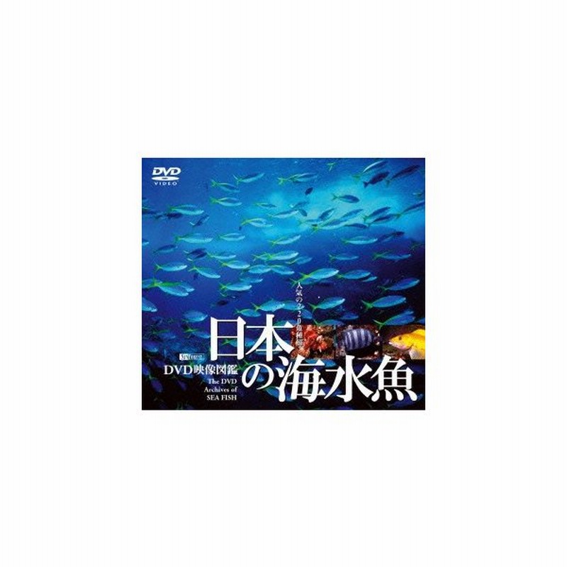 日本の海水魚 ｄｖｄ映像図鑑 通販 Lineポイント最大0 5 Get Lineショッピング