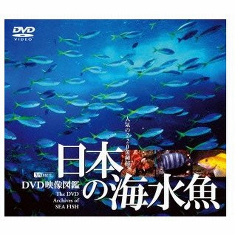 日本の海水魚 ｄｖｄ映像図鑑 通販 Lineポイント最大0 5 Get Lineショッピング