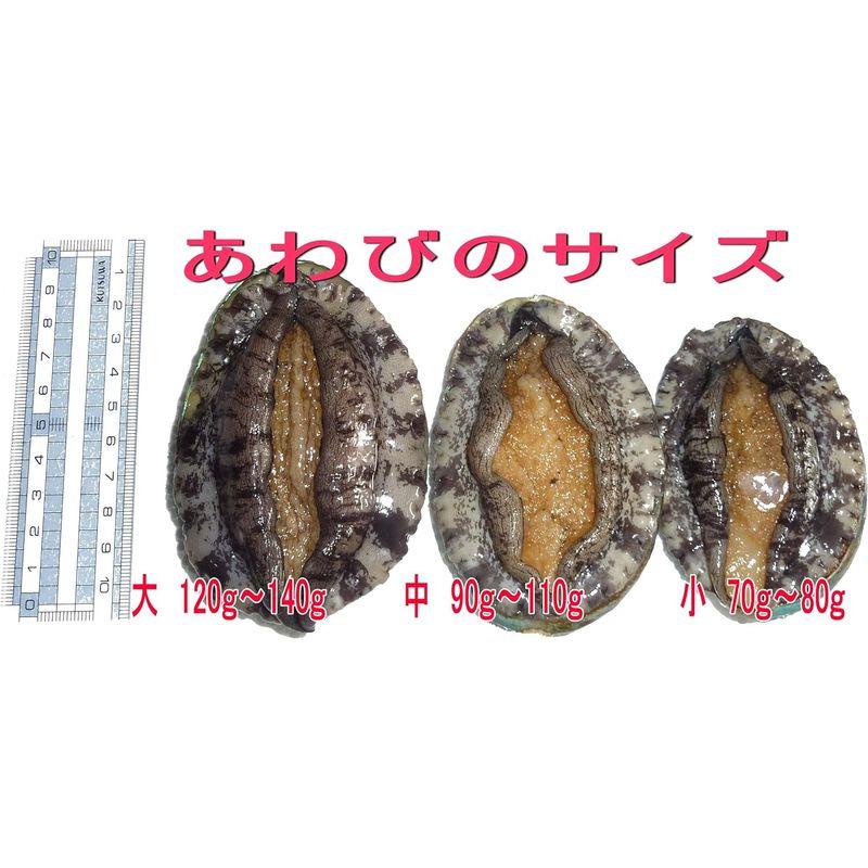 活蝦夷あわび 大 1ｋｇ（８個） 養殖