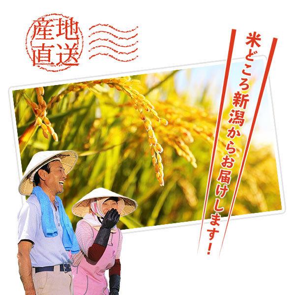 新米 10kg みずほの輝き お米 10キロ 令和5年産 新潟県産 精米 白米 送料無料