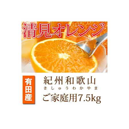 ふるさと納税 紀州有田産清見オレンジ　７.５kg ※2024年3月下旬頃〜4月下旬頃に順次発送予定 和歌山県美浜町