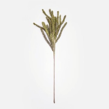 Flora芙蘿拉花插柳杉枝102cm 綠