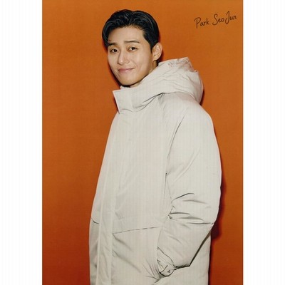 パク・ソジュン PARK SEOJUN パクソジュン グッズ ポスター 10枚