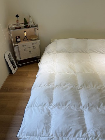 雙滾邊3D科技仿羽絨四季被(可機洗)