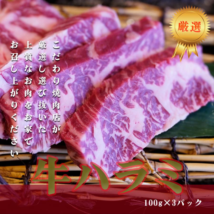 牛ハラミ 焼肉 バーベキュー BBQ 牛肉 ステーキ 厚切り ホルモン 柔らかい 個包装  100ｇ×3