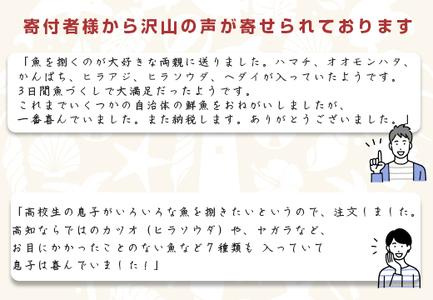 山田さんちの「旬の鮮魚便」 計12回