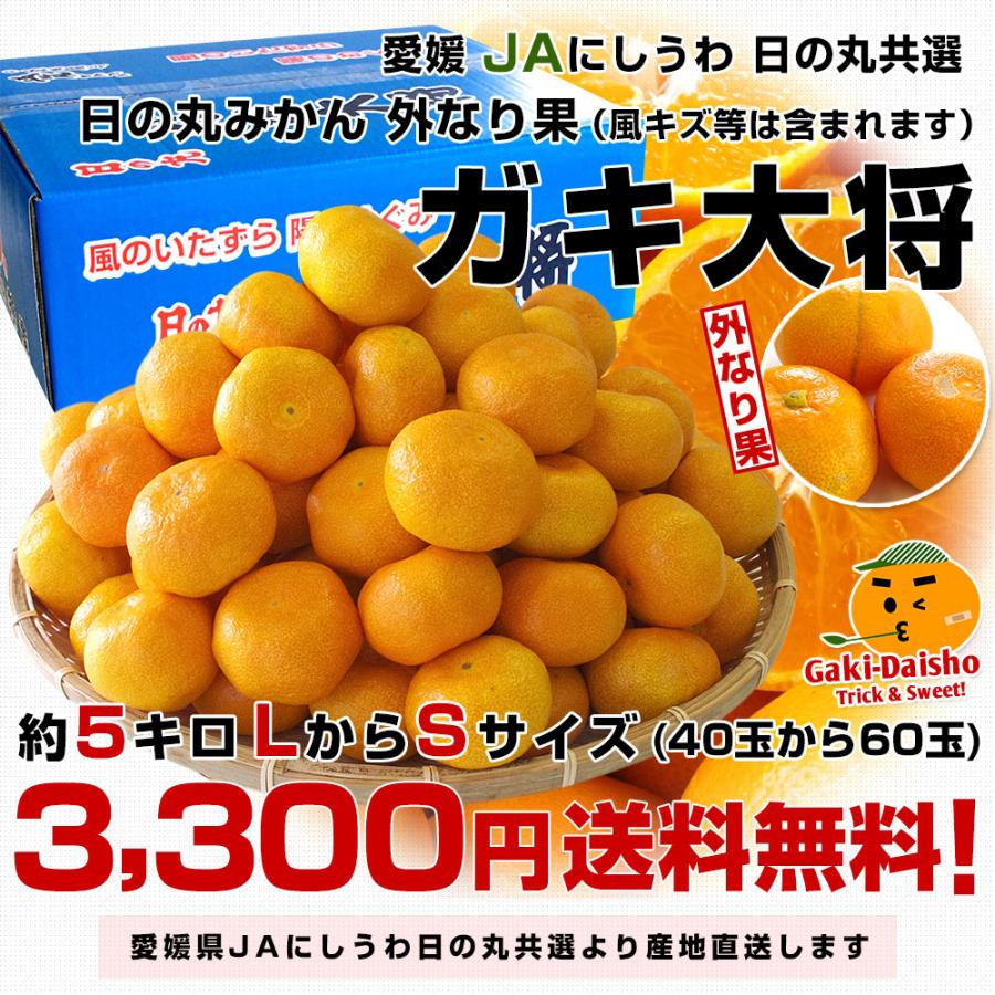 愛媛県より産地直送 JAにしうわ 日の丸みかん ガキ大将 LからＳサイズ 5キロ(40玉から60玉) 送料無料   蜜柑 ミカン