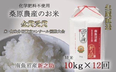 （新米予約）桑原農産のお米10kg×12カ月　南魚沼産新之助