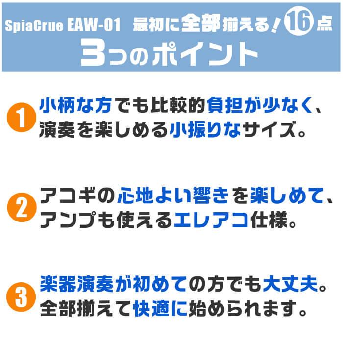 アコースティックギター 初心者セット エレアコ 16点 アンプ付属 Sepia Crue アコギ EAW-01 ギター 入門 セット