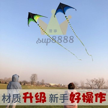 風箏大型濰坊 風箏 微風易飛三角兒童成人初學者新款高檔大草原 折疊 拖尾 風箏🧡台灣出貨🧡免運🧡