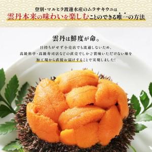 ふるさと納税 極上エゾバフンウニ折詰500g C 24年1月下旬〜3月下旬迄　 北海道登別市