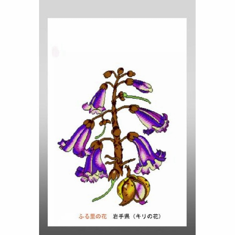 花 イラスト ポストカード 絵葉書 イラスト画 ふる里の花 岩手県 キリ 通販 Lineポイント最大0 5 Get Lineショッピング