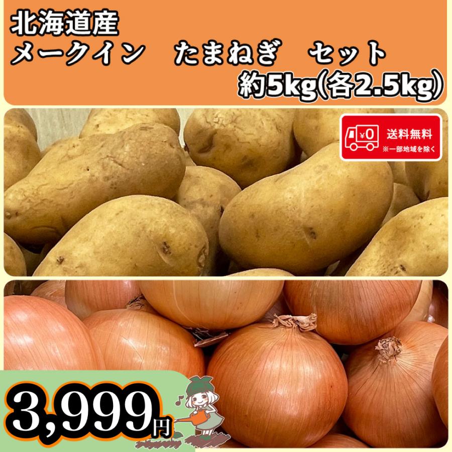 送料無料  常備野菜セット 北海道産 メークイン たまねぎ 5kg(各2.5kg)  北海道の味覚詰め合わせ