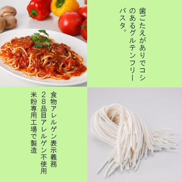 小林生麺　グルテンフリーヌードル スパゲティー(お米)　5袋セット 小麦不使用 乳不使用 卵不使用 アレルギー対応食品