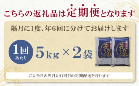 M17-82-01 研ぐお米福岡県産・元気つくし10kg定期便(隔月・年6回)