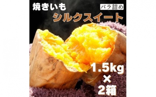 茨城県産 焼き芋シルクスイート 1.5kg×2箱(計3kg) さつまいも 焼きいも