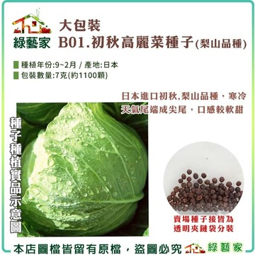 【綠藝家】大包裝B01.初秋高麗菜種子7克(約1100顆)(梨山品種) 日本進口初秋,高麗菜 結球類及花菜類大包裝