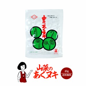 山菜のあくヌキ 40g／山菜1kg×10回分 メール便 送料無料