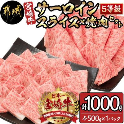 ふるさと納税 都城市 サーロインスライス×焼肉セット