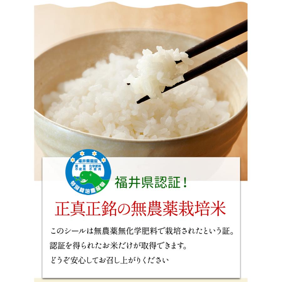 無農薬  米 2kg  無農薬 にこまる 令和5年福井県産 新米入荷 送料無料 無農薬・無化学肥料栽培 玄米