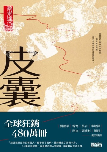 【電子書】皮囊〔讀懂這些故事，就參透了人生〕